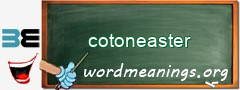 WordMeaning blackboard for cotoneaster